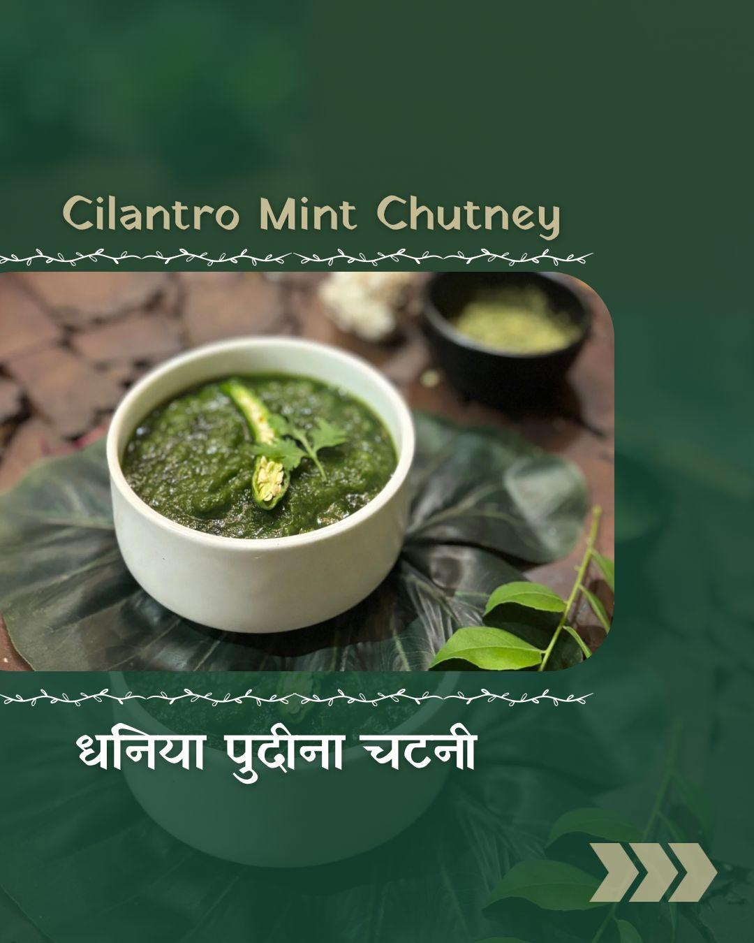 Cilantro Mint Chutney